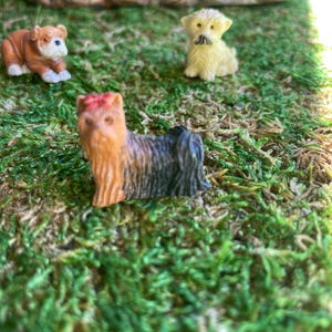 May include: Miniature figurines of three different dog breeds on a bed of green moss. The dogs are a bulldog, a terrier, and a small, fluffy dog. The bulldog is brown and white, the terrier is black and tan, and the fluffy dog is yellow.