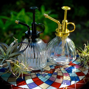 Misting Spray Bottle for misting plants ~ Water Mist Sprayer ~ Air plant care ~ Beautiful Glass Water Bottle Sprayer ~Elegant design~ 6&quot;