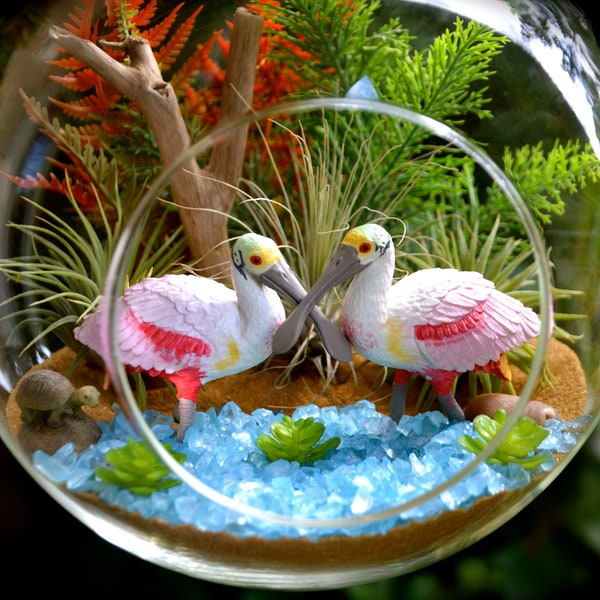 Roseate Spoonbill Terrarium Kit ~ 7" Air Plant Terrarium Kit ~ Coastal Living Beach House Decor ~ 2 Spoonbills ~ Beach Gift ~ Birding