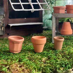 May include: Miniature terracotta flower pots of various shapes and sizes are arranged on a bed of green moss. A small wooden structure with a window and a shelf is in the background, suggesting a miniature garden setting.