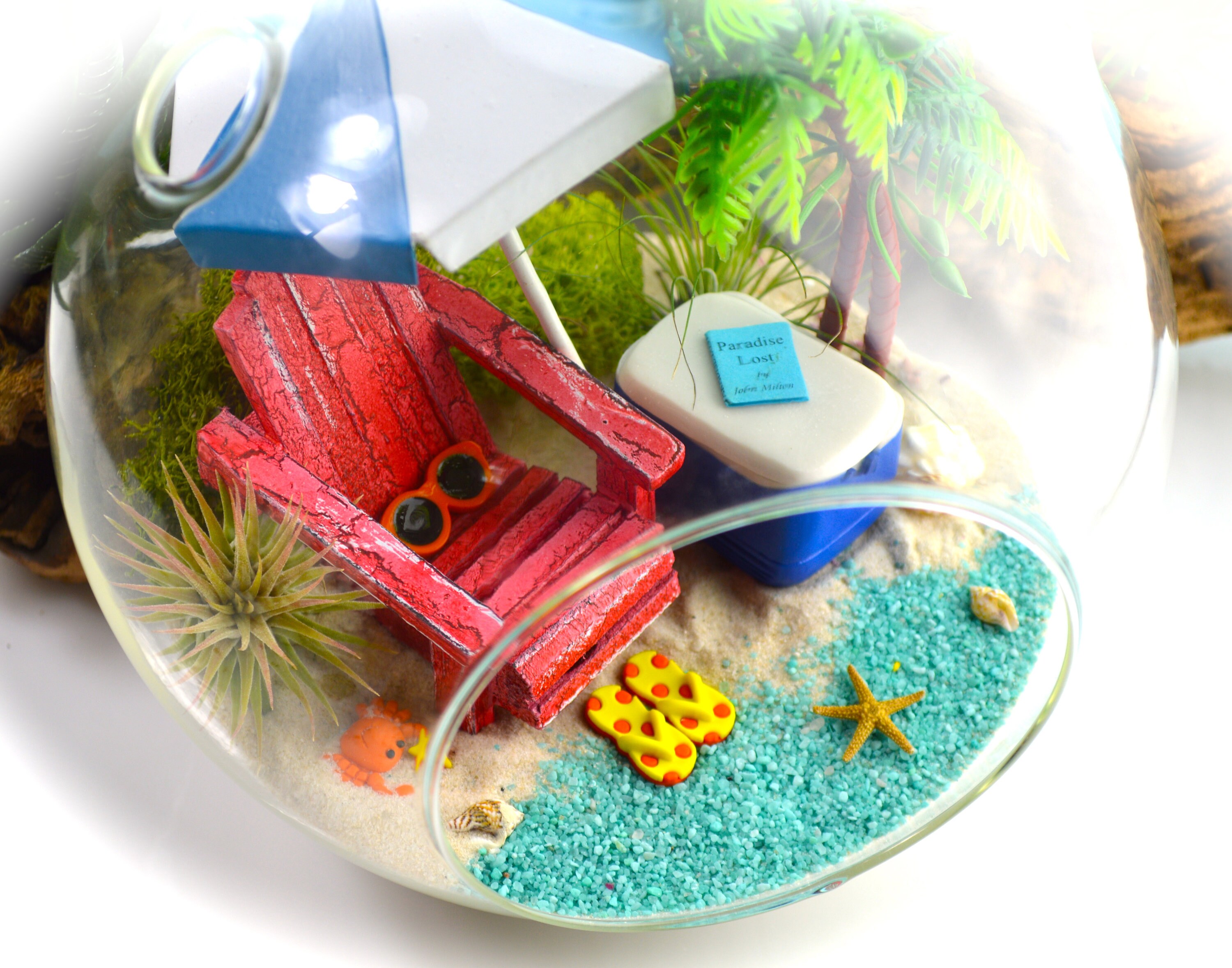 Beach Terrarium Kit 7 Air Plant Terrarium Kit Etsy