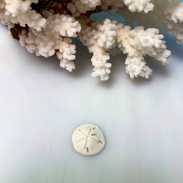 Tiny Resin Sand Dollars ~ Approximately 3/4 Inch ~ Coastal Living Beach Decor ~ Tiny Size ~ Add to Terrariums ~ 1 Sand Dollar