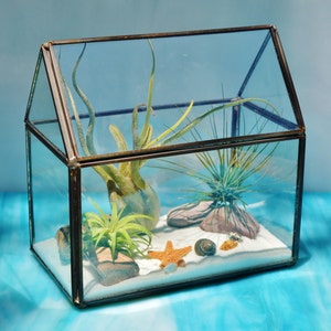 May include: A glass terrarium with a house-like shape, featuring a sandy base and various air plants, rocks, a starfish, and seashells. The terrarium has a dark metal frame and is set against a blue background.