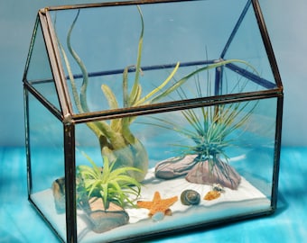 Geometric Glass House Terrarium – DIY Miniature Garden Container, Open Roof, Modern Display