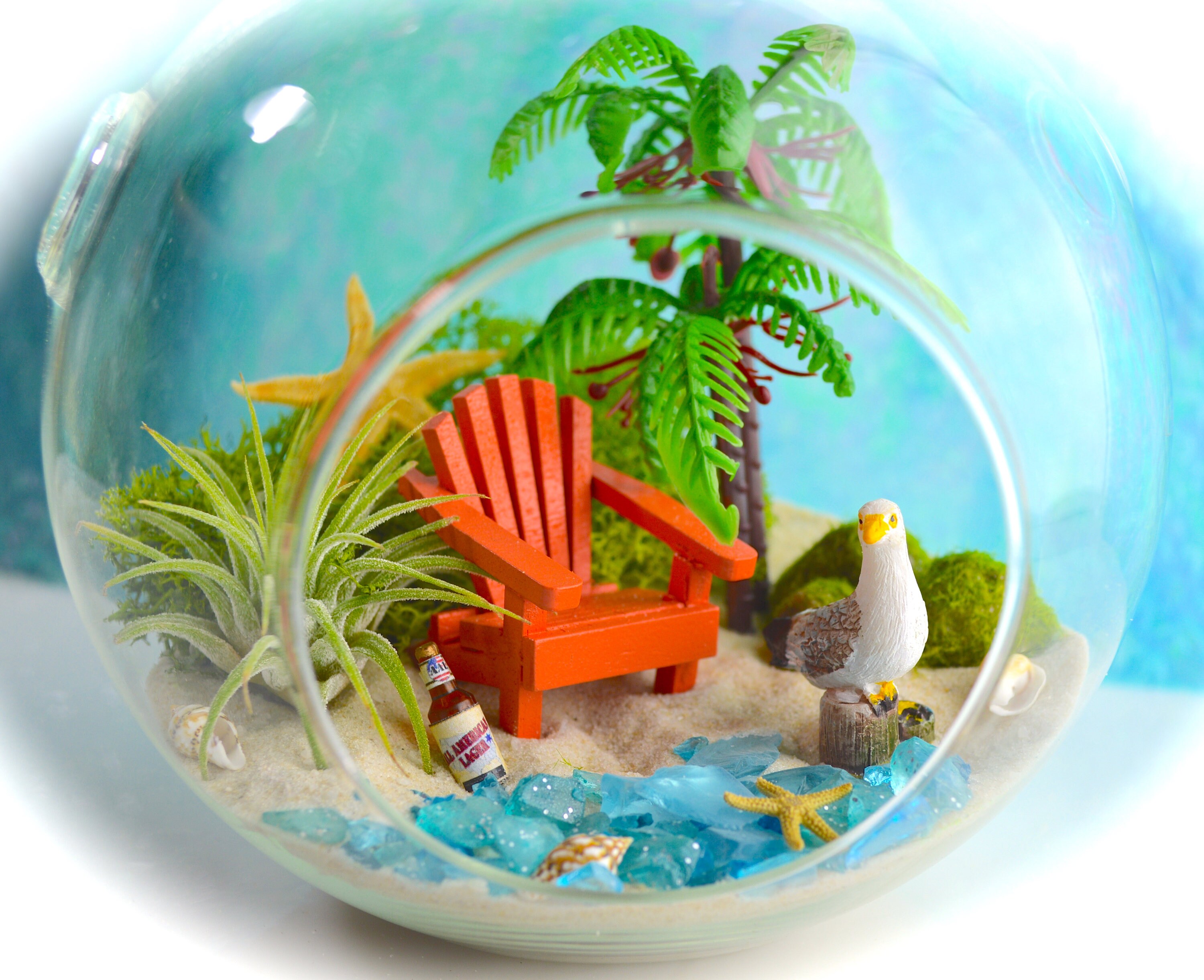 Beach Terrarium Kit 6 Medium Air Plant Terrarium Kits Etsy
