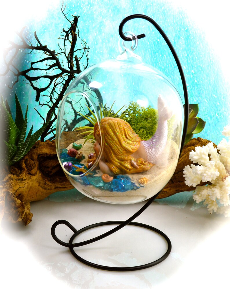 Mermaid Terrarium Kit Small Bullet Air Plant Terrarium Kit Etsy