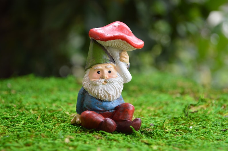 Miniature Gnome with Mushroom Gnomes Fairy Garden | Etsy