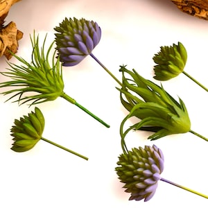 May include: An overhead shot displays several artificial succulent stems in shades of green and purple. The stems have a variety of shapes, including spiky leaves and rounded, bud-like forms. The stems are arranged on a white surface, with a piece of driftwood in the background.