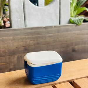 May include: A miniature blue and white cooler with a rectangular shape. The cooler has a white lid and a blue body with horizontal ridges. It is sitting on a wooden surface.
