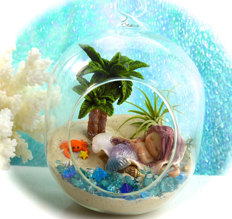 Mermaid Terrarium Kit Small Bullet Air Plant Terrarium Kit Etsy