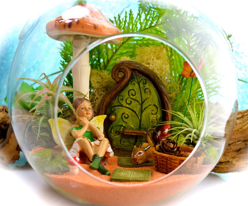 Fairy Garden Terrarium Kit 7 Air Plant Terrarium Etsy