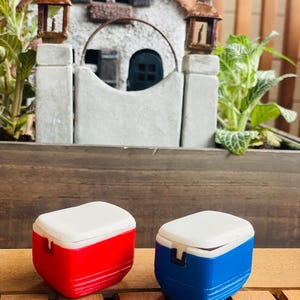 May include: Two miniature coolers, one red and one blue, each with a white lid. The coolers are rectangular with rounded edges and a handle on the side. They are set on a wooden surface, with a miniature house in the background.