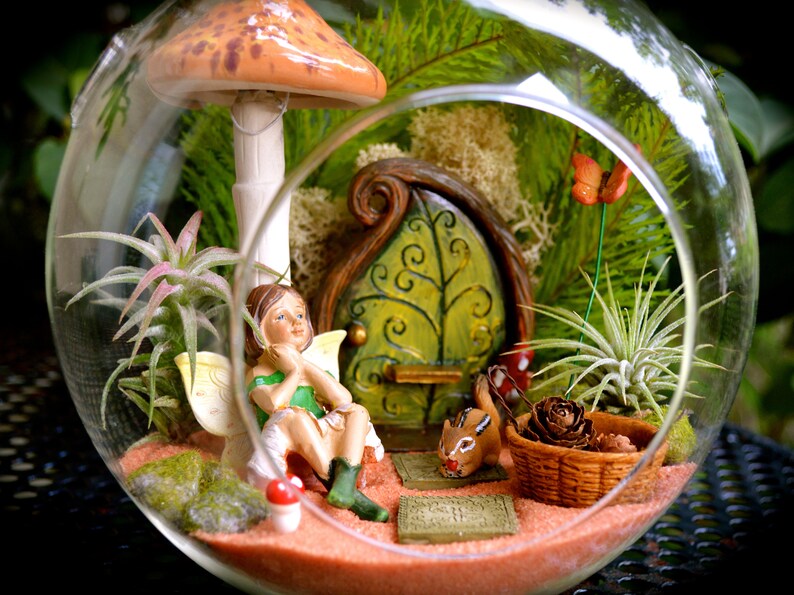 Fairy Garden Terrarium Kit 7 Air Plant Terrarium Etsy