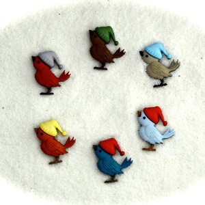 May include: A collection of six colorful bird-shaped embellishments, each wearing a different colored winter hat. The birds are red, brown, tan, blue, and orange, and are arranged on a white, textured surface.