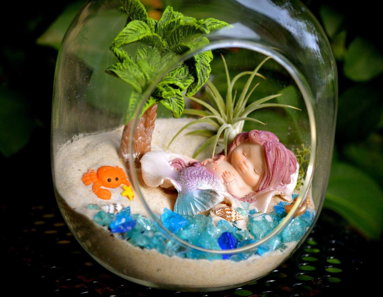 Mermaid Terrarium Kit Small Bullet Air Plant Terrarium Kit Etsy