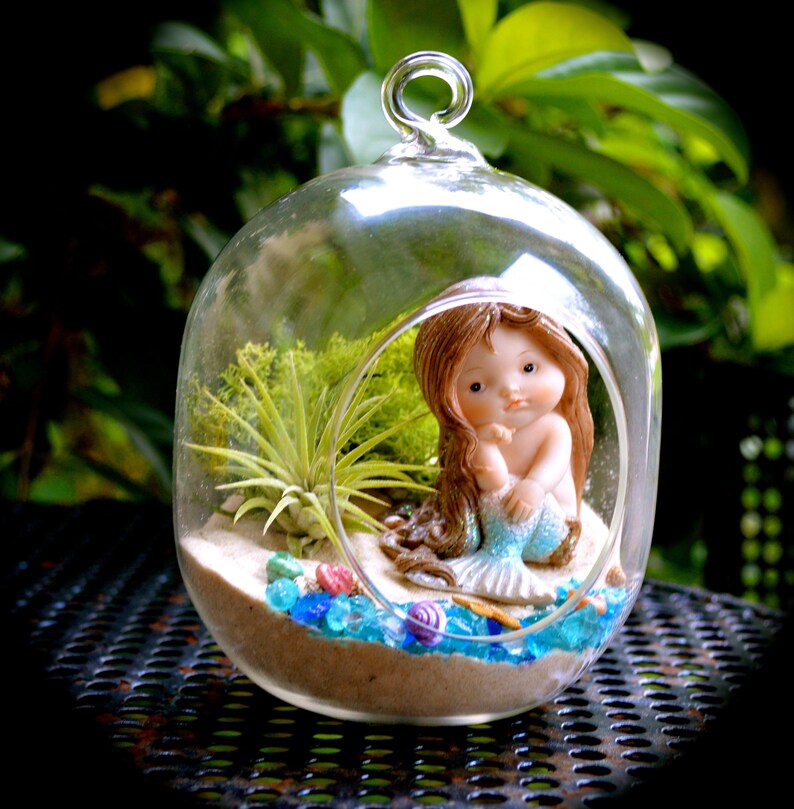 Mermaid Terrarium Kit Small Bullet Air Plant Terrarium Kit Etsy