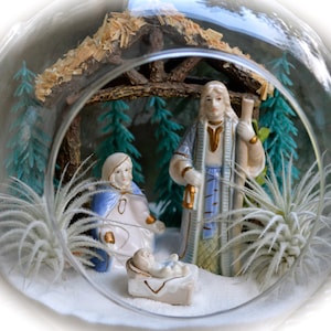 May include: A Christmas nativity scene inside a clear glass terrarium. The scene includes figurines of Mary, Joseph, and baby Jesus in a manger. The background features miniature trees and a wooden structure. The terrarium is decorated with white accents and air plants.