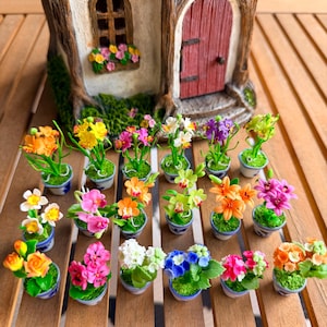 May include: Miniature colorful flower arrangements in small blue and white pots. The flowers are in various colors, including orange, yellow, pink, and purple. A whimsical fairy house with a red door and a flower box is in the background.
