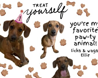 May include: A charming image featuring three dachshunds, surrounded by dog-themed treats. The text reads "Treat Yourself" and "You're my favorite paw-ty animal!" One dog wears a party hat. The image includes paw prints, bones, and heart-shaped treats.