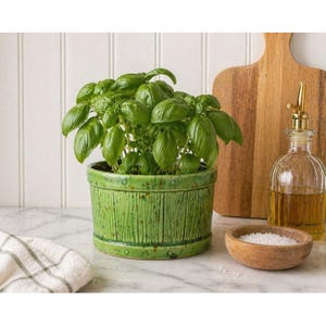 Vintage Green Ceramic Herb Planter, Kitchen Basil Pot, Rustic Farmhouse Planter, Indoor Plant Pot, Cottage Kitchen Decor