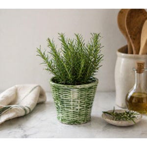 Maceta de cerámica verde vintage para hierbas, maceta de mimbre, soporte para utensilios de cocina estilo rústico francés.