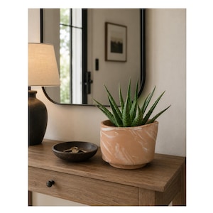 Vaso de terracota italiano vintage feito à mão em Florença, Itália, com padrão de mármore em espiral. Ideal para plantas orgânicas, modernas e com decoração neutra para casa.