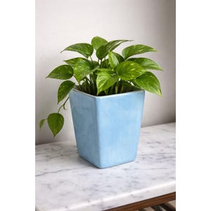 Può includere: Una pianta in vaso con foglie verdi e macchie gialle. La pianta è in un vaso quadrato di ceramica azzurra. Il vaso è posto su una superficie di marmo bianco, creando un'estetica fresca e naturale.