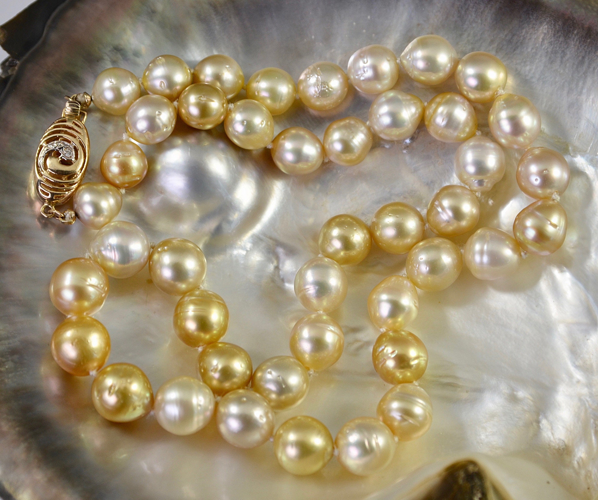 Golden South Sea Pearls – Continental Pearl Loose Pearl, Pearl Necklaces &  Jewelry