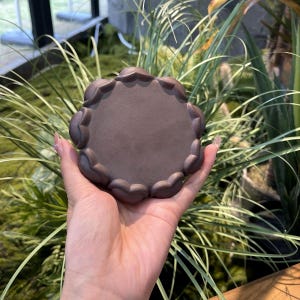Puede incluir: Un posavasos decorativo de cerámica marrón oscuro con un borde festoneado. El posavasos redondo tiene un centro plano y un borde elevado en forma de flor. El posavasos se sostiene en una mano, con plantas verdes en el fondo.