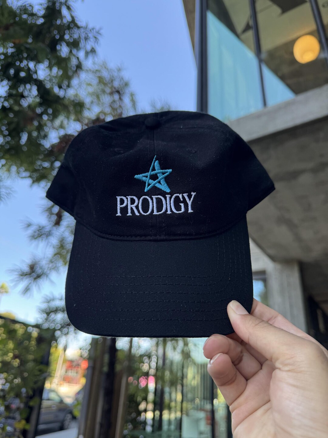 Prodigy Hat Embroidered Prodigy Star Hat | 90s Dialup Internet Cap - Etsy