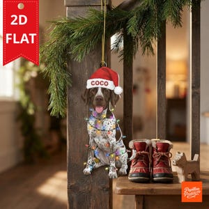 Può includere: Un ornamento piatto e bidimensionale raffigurante un cane a macchie marroni e bianche che indossa un cappello da Babbo Natale rosso e bianco con il nome COCO stampato sul bordo. Il cane è seduto e avvolto da una catena di luci natalizie colorate.