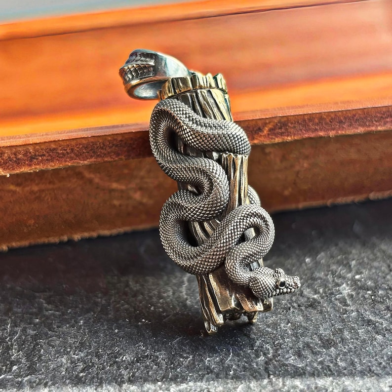 May include: A silver pendant depicting a snake coiled around a textured wooden post. The pendant has a skull at the top. The snake's scales are finely detailed. The background is dark. The pendant is a unique piece of jewellery.