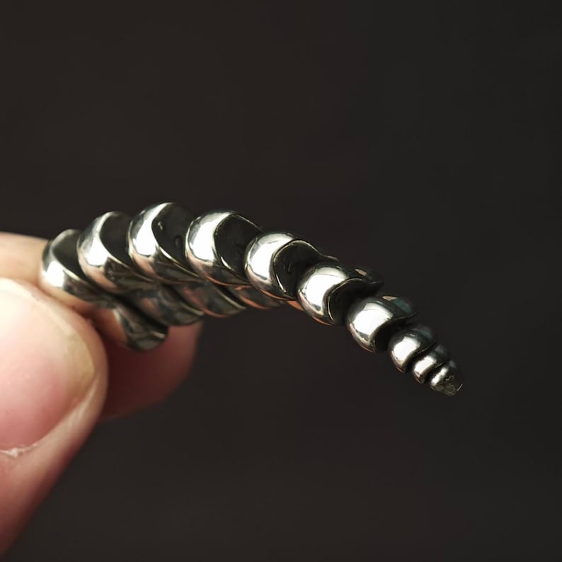 May include: A metallic, silver-toned object with a curved, segmented, and tapered design. The piece features a series of smooth, rounded, and overlapping links that decrease in size from the base to the pointed tip, creating a tail-like form.