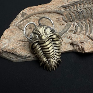 Könnte beinhalten: Ein detaillierter, bronzefarbener Trilobitenanhänger mit silberfarbenen Akzenten. Der Anhänger ist aufwendig gestaltet und zeigt den segmentierten Körper und Kopf des alten Meeresarthropoden. Der Anhänger wird auf einer strukturierten, hellbraunen Steinoberfläche präsentiert.