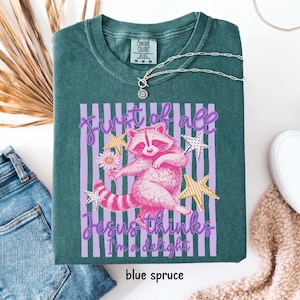 May include: Blue spruce t-shirt with a graphic of a pink raccoon holding a flower, surrounded by stars and vertical stripes. Text reads "First of all Jesus thinks I'm a delight". A silver necklace is draped on the shirt.