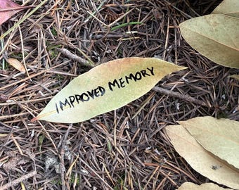 Memory Spell: Improve Focus and Mental Clarity - NO AI Witch Spell