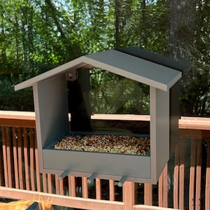 Window Bird Feeder with Strong Suction Cups | Custom Color Feeder | Window-Mount Birdhouse for Wild Birds | Personalized Outdoor Décor