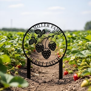 May include: Black metal sign with a circular design featuring strawberries, leaves, and the text "THE MILLER FAMILY BERRY PATCH." The sign is staked in the ground amidst a strawberry patch, with ripe red berries visible.