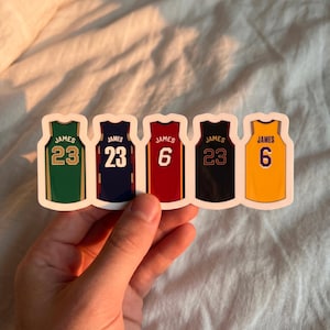 レブロンジェームズ　クッションカバー Lebron James Car Accessories - Etsy