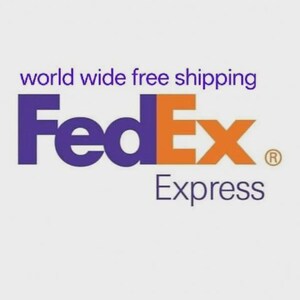 Pu&ograve; includere: Logo FedEx Express con la parola "FedEx" in viola e arancione, e "Express" in nero sotto. Il testo "world wide free shipping" &egrave; sopra il logo in viola. Sfondo grigio chiaro.