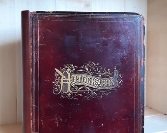 Victorian Era Antique Autograph Album with Letters of the Alphabet Made of Seaweed, circa 1884 Folk Craft Scrapbook