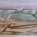 After the Storm, Nantucket Post Card, H. Marshall Gardiner.
