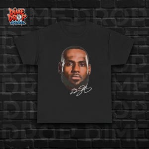Lebron James Graphic Tee, Lebron James Headshot, Basketball Fan Gift, Vintage Style Tee, LA Basketball, Streetwear Apparel