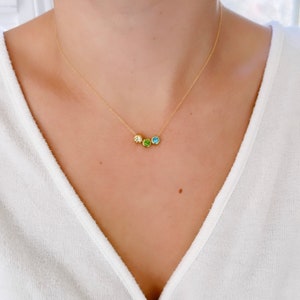 Birthstone necklace, Family birthstone necklace, personalized necklace, birthstone gifts, gifts for her gold necklace dainty gold necklace