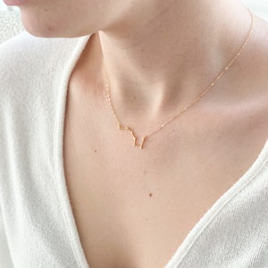 Dainty 14k Gold Filled Zodiac Necklace: Astrology Charm