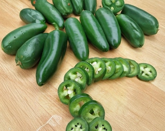 50 Jalapeño M Pepper Seeds – Non-GMO Hot Pepper for Home Growing