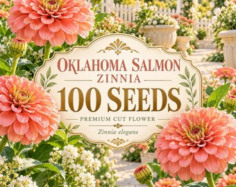 100 Oklahoma Salmon Zinnia Seeds for Planting, Salmon Pink Zinnia elegans, Cut Flower Garden Seeds, Annual Cottage Garden Blooms