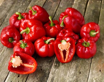 100 große rote Paprika-Samen - süsse, nicht scharfe Gemüsegarten-Vielfalt