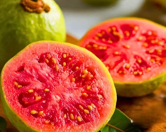 50 Strawberry Guava Seeds: Sweet Tropical Fruit Tree
