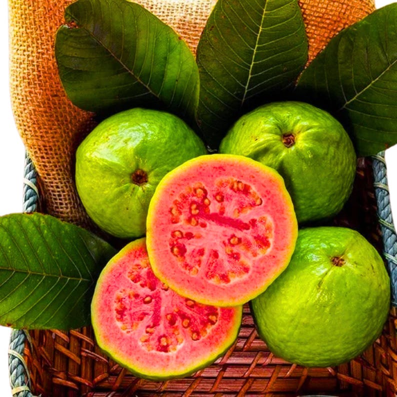 Some Guava 50 Strawberry Guava Seeds: Sweet Tropical Fruit Tree - Etsy